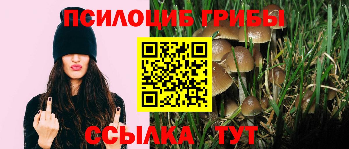 Вязники  Галлюциногенные грибы GOLDEN TEACHER  Вход с VPN  Галлюциногенные грибы Cubensis 